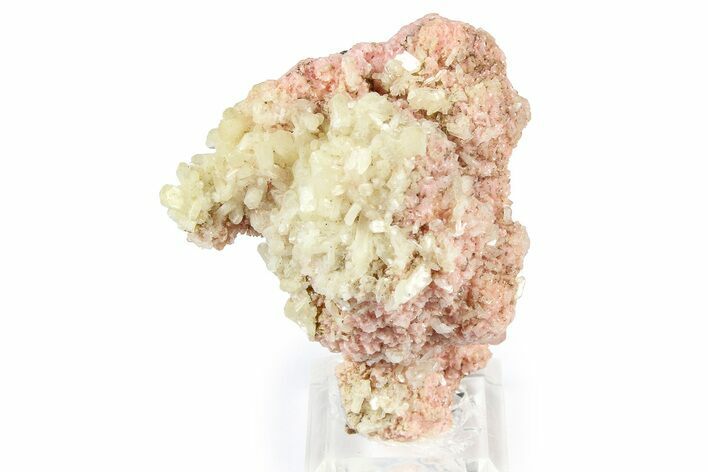 Sparkling Stilbite Crystals on Rhodochrosite Rosettes - Bulgaria #368698
